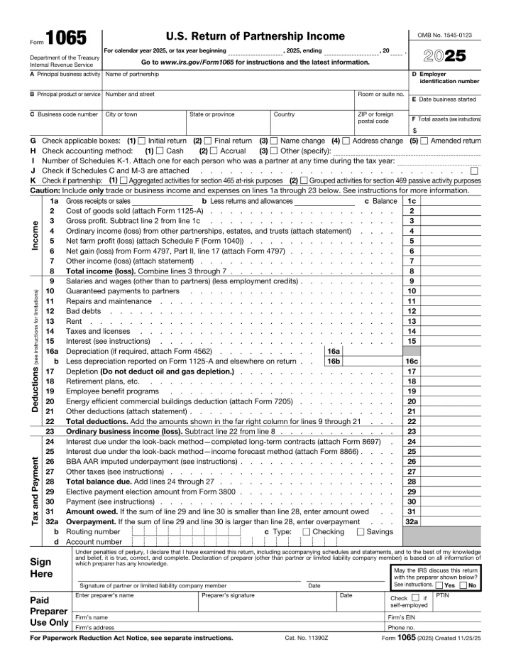 Form 1065 form preview
