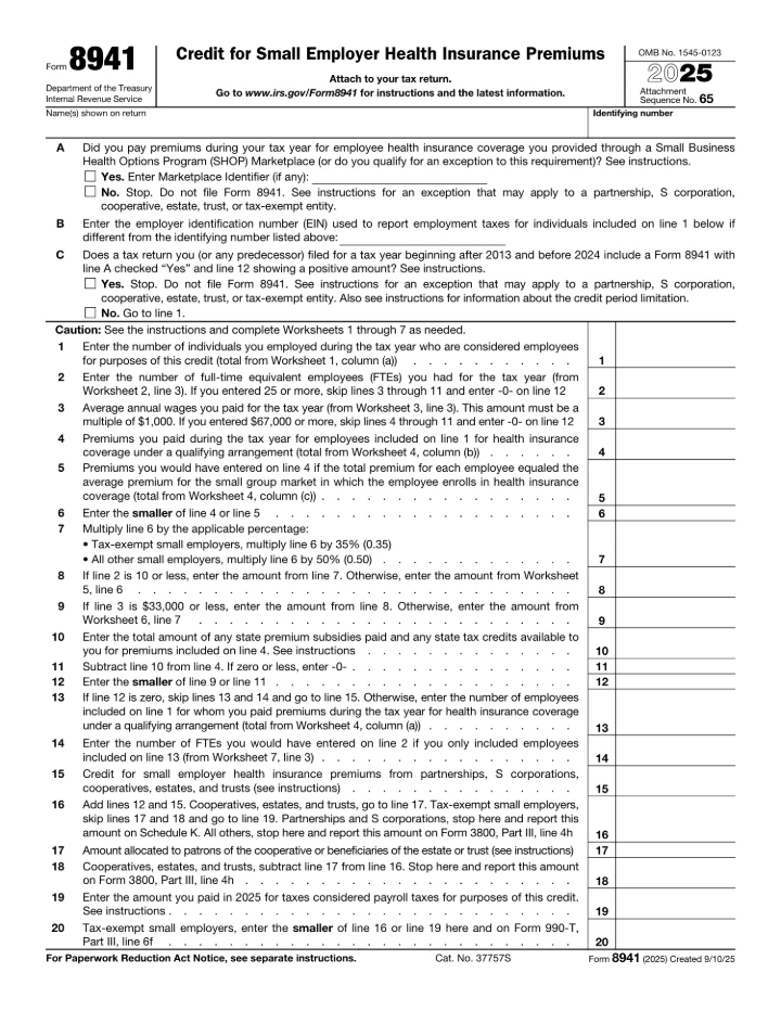 Form 8941 form preview