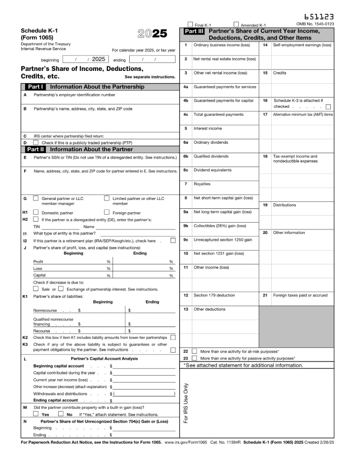 Schedule K-1 (Form 1065) form preview